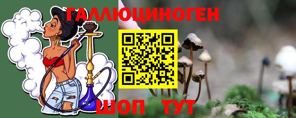 Псилоцибиновые грибы Cubensis Москва
